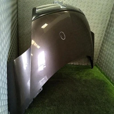 Capot CITROEN C8 phase 1 HDI 00007901N3 - Photo 1/4