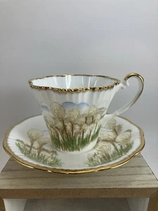 Tasse & Untertasse "Bärengras" - Glacier National Park Fine Bone China - Bild 1 von 12