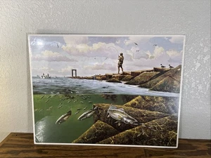 David Drinkard Poster Angeln 18,5 x 24,5 Zoll - Bild 1 von 12