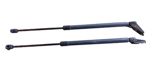 Amortiguador portón trasero elevador portón trasero Nissan Micra K12 III li re 90450AX60A - Imagen 1 de 2