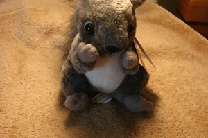 Conservation Critter Squirrel - Picture 1 of 4