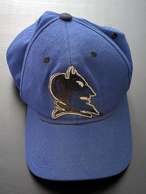 Vintage Duke Blue Devils Logo Hat Zephyr Graf-X Baseball Hat Cap OSFM - Image 1 of 4