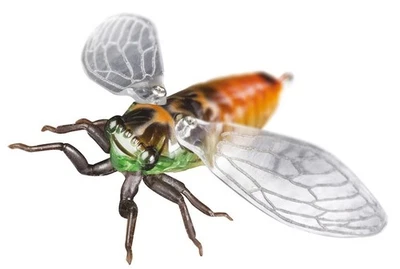 Jackson Namazemi Foto 1 de 4