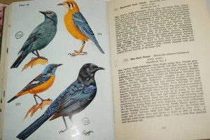 THE BOOK OF INDIAN BIRDS ALI ILLUSTRATIONS OISEAUX INDE 1977 - Picture 1 of 4