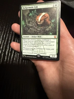 Magic The Gathering - Avatar: The Last Airbender-Badgermole Cub Mythic Non-Foil - Image 1 of 4