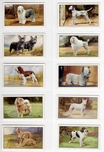 Dogs Cigarette Cards Full Set of 48 issued by Gallaher in 1936 - Picture 1 of 10