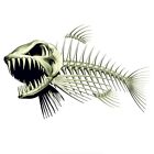 Exquisite Design Skeleton Fish Fishing Car Decal Model Sticker 28*15Cm