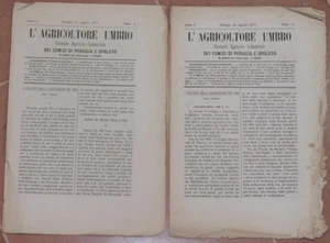 L’AGRICOLTORE UMBRO 11 25 AGOST 1877 UMBRIA FABBRICAZIONE VINO CONEGLIANO - Imagen 1 de 1