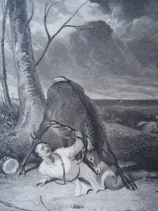 c1827 Antique Print THE GORED HUNTSMAN by Artist Robert Cooper R.A. - Picture 1 of 2
