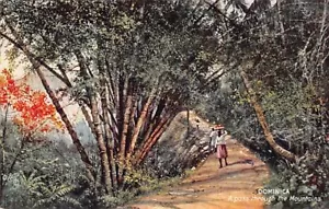 Dominica - Ein Pass durch den Berg - Publ. Raphael Tuck & Sons - Bild 1 von 2