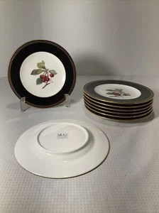 Juego de 8 platos de pan y mantequilla Ebony Garden de MIKASA 6 3/4" (203) siglo - Imagen 1 de 8