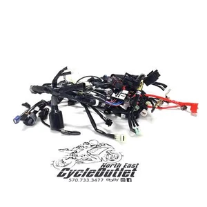 Yamaha YZF R6 2020 17-20 OEM motor principal arnés de cableado motor telar de cable - Imagen 1 de 21