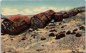 Logs of Stone, Petrified Forest, Arizona Postcard c1939 - Picture 1 of 2