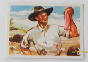 Image CHROMO Chocolat MARTOUGIN N°J11 Bisons pour Album Chasseurs de Fauves - Picture 1 of 2