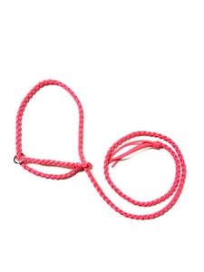 small livestock halter goat sheep alpaca, think pink - Picture 1 of 3