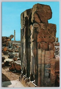 Cartolina Persepoli Rovine Shiraz Iran - Foto 1 di 2
