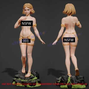 Princess Woman Figure 1/3 Unpainted Model Kit Unassembled 3D Printing 003 NSFW - Picture 1 of 3
