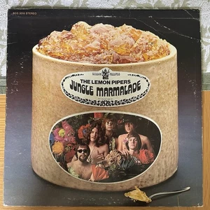 THE LEMON PIPERS Jungle Marmalade US 1968 VINYL RECORD LP PSYCHEDELIC Buddha VG+ - Imagen 1 de 2