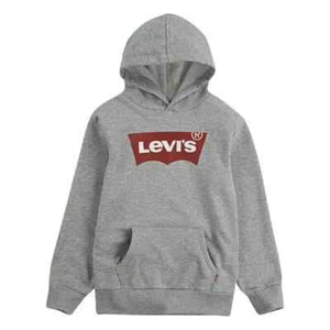 Lev's Boys Long Sleeve Logo Hoodie Hooded Pullover M (10-12) Light Grey - Picture 1 of 6