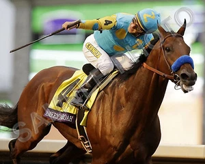 AMERICAN PHAROAH 2015 BREEDERS CUP CLASSIC CHAMPION WINNER HORSE 8X10 PHOTO #2 - Picture 1 of 1