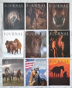 Lot 9 Magazines: The American Quarter Horse Journal 2021 & 2022 - Picture 1 of 10