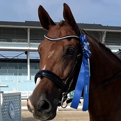 Banda para cejas de cuero negro con joyas transparentes, excelente estado, envío rápido Foto 1 de 4