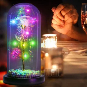 Crystal Galaxy Enchanted LED Glass Rose Forever Home Decoration Valentine's Gift - Picture 1 of 19