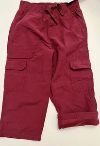 NWT Boy 3T Gymboree GRIZZLY LAKE Jersey Lined Active Pants PULL ON CARGO PANTS - Picture 1 of 8