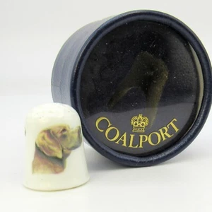 COALPORT COLLECTABLE BONE CHINA THIMBLE, GERMAN WEIMARANER (BOXED) - Picture 1 of 8