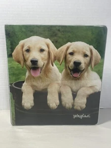 Y2K-Golden Retriever Puppies-Class Act Keith Kimberlin 3 Ring 1” Notebook Binder - Picture 1 of 6