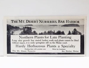 1908 Bar Harbor Maine Mt. Desert Nurseries Hardy Spring Plants Photo Print AD - Picture 1 of 1