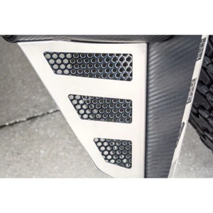Front Raptor Style Mud Guards ABS Backing for 2010-2014 F-150 Raptor [C-Fiber] - Picture 1 of 3