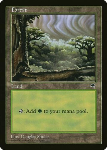 Forest (Cloudy) Tempest Moderate Play Magic DNA GAMES - Image 1 of 1
