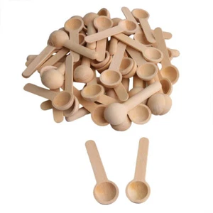 10PC Mini Wooden-Spoon Spice Spoons Small Short Condiment Spoons Cooking Scoop O - Picture 1 of 10