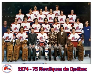 WHA 1974 - 75 Quebec Nordiques foto squadra a colori 8 x 10 foto - Foto 1 di 1