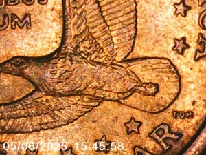 2000 P Sacagawea Native American Dollar KM 310 Wounded/Speared Eagle Error BU - Picture 1 of 10