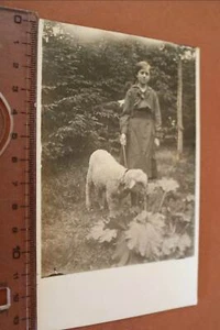 tolles altes Foto - Mädchen geht mit Schaf an der Leine spazieren - Bild 1 von 3