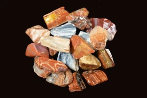 Petrified Wood 1 3/4" Tumbled Metaphysical Polished Root Chakra Healing Stone - Picture 1 of 3