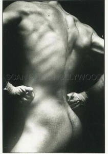 JAMES A. FOX MASCULIN MALE  BOXE BOXING 1970s PHOTO ORIGINAL #138 - Imagen 1 de 1