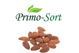 NATURAL WHOLE ALMONDS PREMIUM QUALITY 450 G - Picture 1 of 1