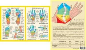Hand & Foot Reflexology -- A4 by Jan van Baarle