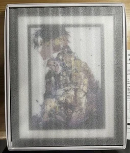 Sao Character Fine Graph - Picture 1 of 1