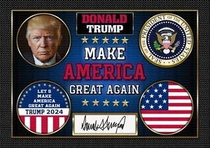 Donald Trump - Presidente - Hecho exclusivamente por Mashed Designs - Imagen 1 de 8