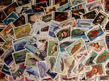 c (A041) Piccolo lotto di 100 francobolli raffiguranti i PESCI e la VITA MARINA