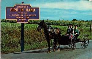 Grüße Vogel in der Hand Pennsylvania Amish Pferd Buggie Chrom Stempel Postkarte - Bild 1 von 2
