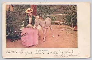Gerade entwöhnt hübsche Dame im langen rosa Kleid füttert Esel geprägt 1907 Postkarte - Bild 1 von 2