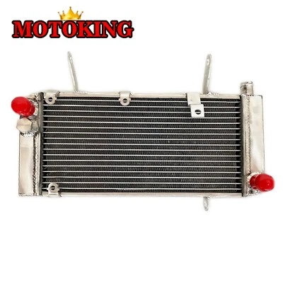 Radiador de aluminio para SUZUKI SV1000 SV1000S SV 1000 2003-2008 2004 2005 2006 07 Foto 1 de 4