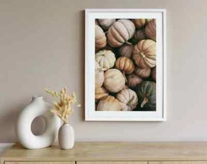 Pumpkin Fruits Plant Poster Premium Quality Choose your Size - Picture 1 of 4