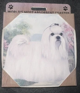 E&S Haustiere, saugfähigster Untersetzer der Welt, Stein, Hund, MALTESISCH - Bild 1 von 2