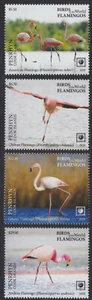 Penrhyn (2020) Birds of the World, Flamingos, Large Stamp - Sgls, Set/4 - Picture 1 of 1